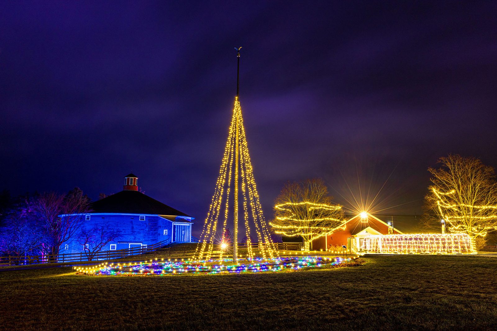 The Round Barn and the tall lit tree at Winter Lights, Shelburne Museum